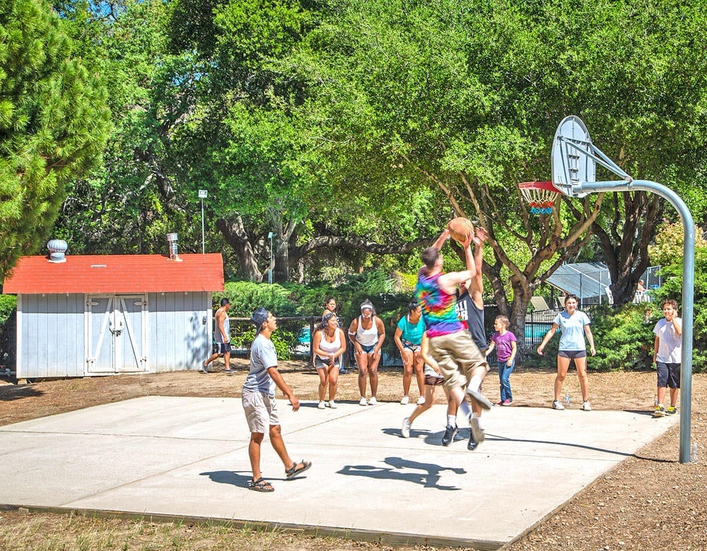 A group of people play basketball on an outdoor court surrounded by trees, with some watching from the sidelines near a small shed.