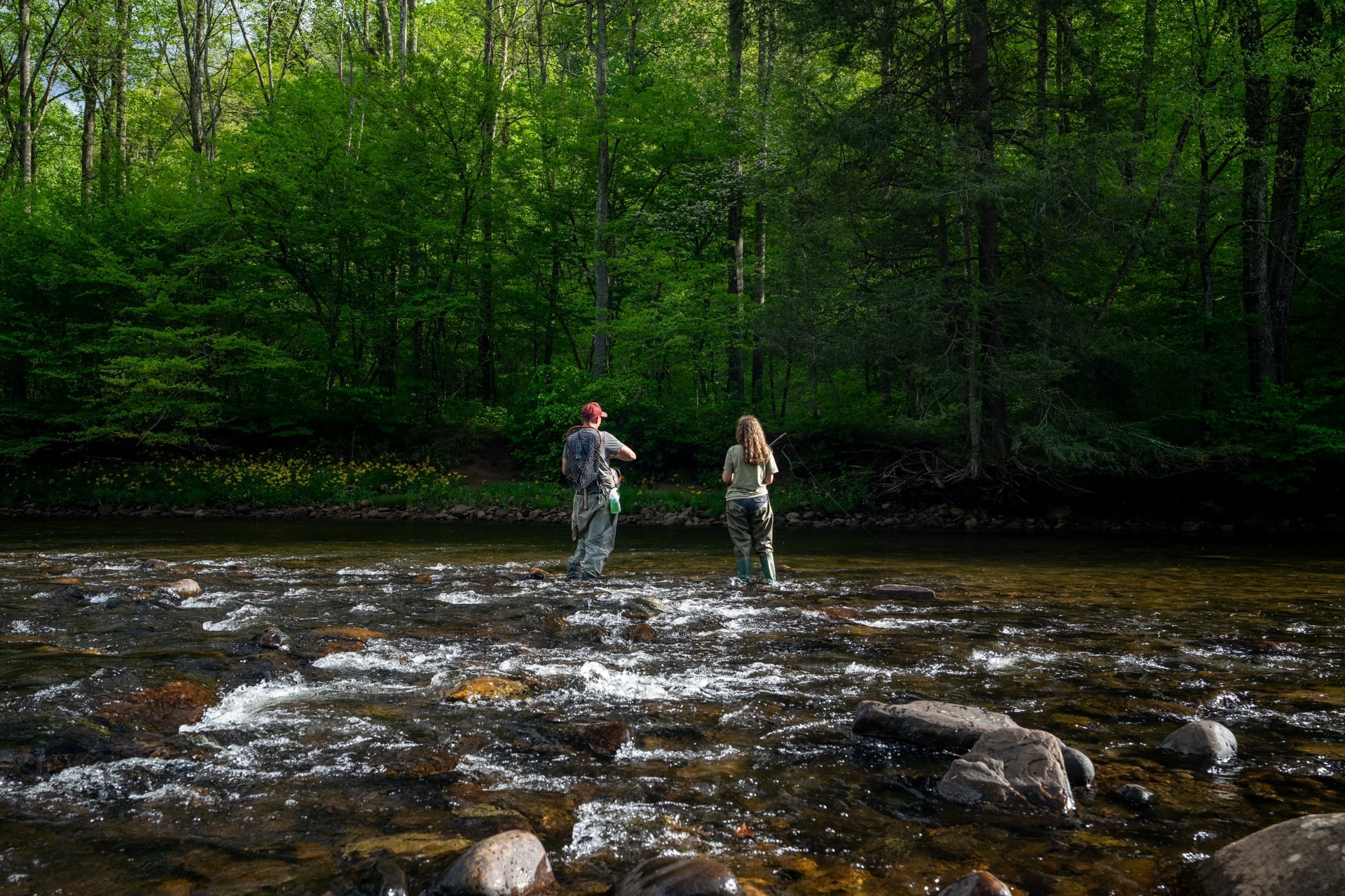 Two people in waders stand in a shallow, rocky river surrounded by dense green forest, appearing to fish.