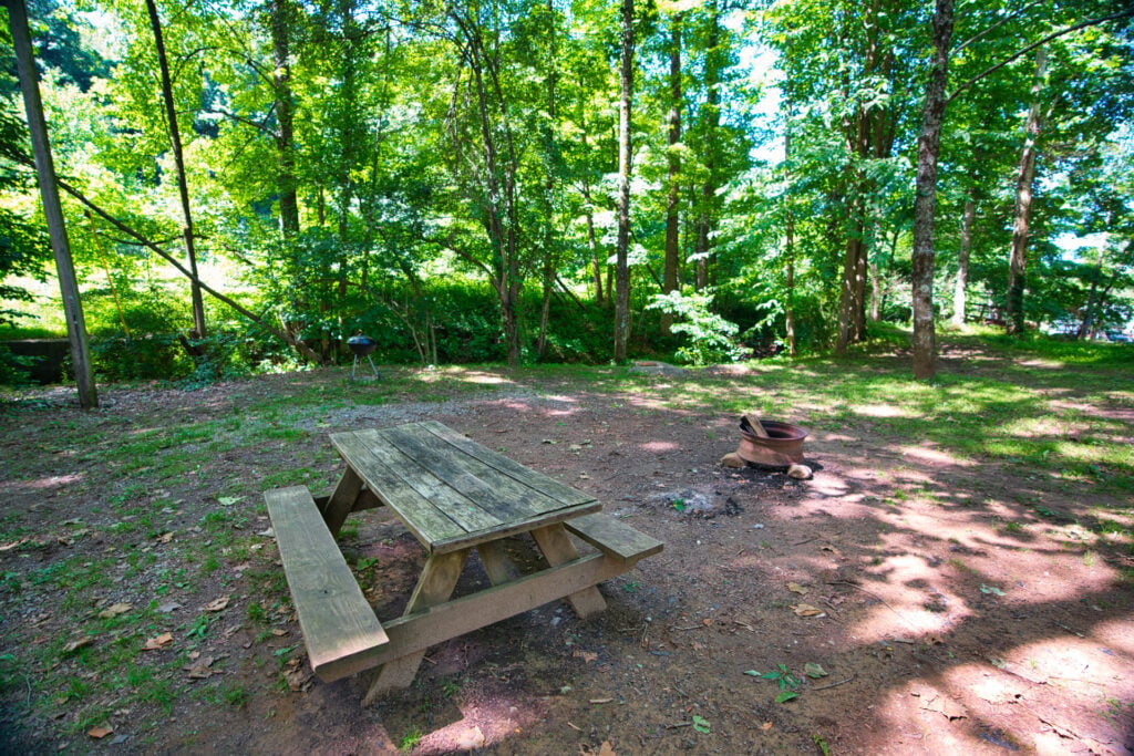 A wooden picnic table and a fire pit sit on a dirt clearing surrounded by tall green trees in a shaded, wooded area.