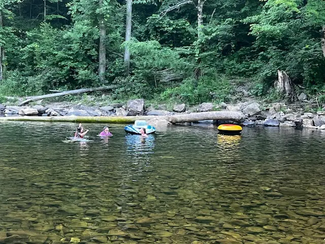 Three people are wading and floating in a clear, shallow river near a forested bank with rocks, logs, and two inflatable tubes.